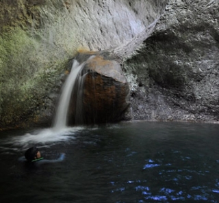  Schwimmen in Jalco 